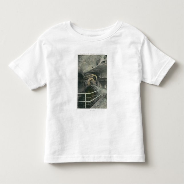 Camiseta Infantil Ideia da arcada da catedral da piscina de Siloam (Frente)