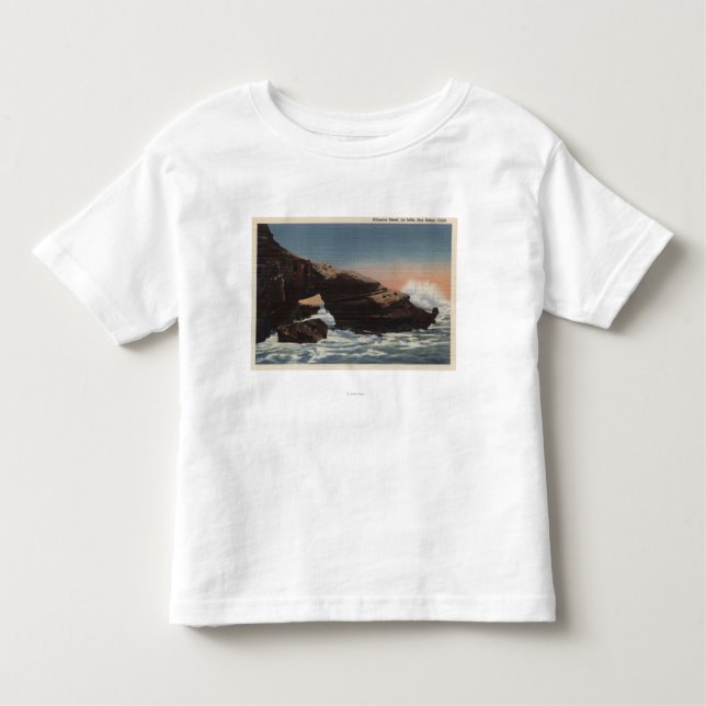 Camiseta Infantil Ideia da cabeça do jacaré, La Jolla (Frente)