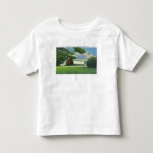 Camiseta Infantil Ideia da vertente e das terras da música de