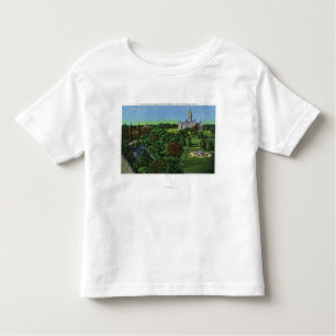 Camiseta Infantil Ideia das terras do Capitólio do estado, arco