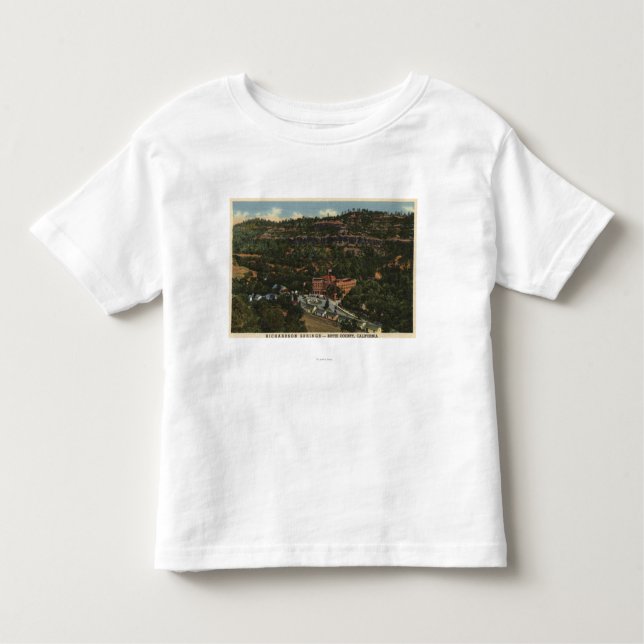 Camiseta Infantil Ideia dos primaveras de Richardson (Frente)