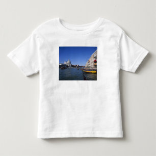 Camiseta Infantil Igreja de Santa Maria della Salute e Grande