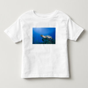 Camiseta Infantil Ilhas Cayman, Little Cayman Island, Subaquático 2