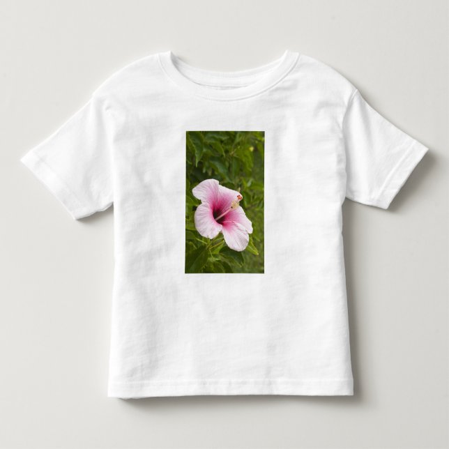 Camiseta Infantil Ilhas Cook, Atiu. Flor de hibisco. (Frente)
