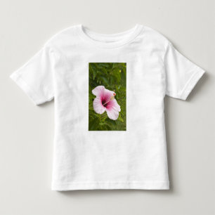Camiseta Infantil Ilhas Cook, Atiu. Flor de Hibiscus.