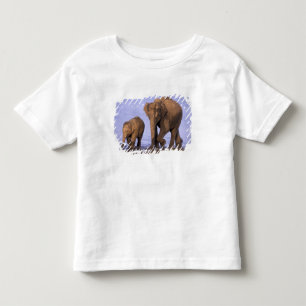 Camiseta Infantil Índia, Parque Nacional Nagarhole. Elefante asiátic