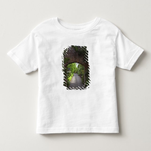 Camiseta Infantil Irlanda, o Castelo de Dromoland muito verde (Frente)