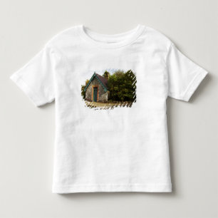 Camiseta Infantil Irlanda, o jardim murado do Castelo de Dromoland