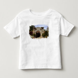 Camiseta Infantil Irlanda, o Jardim Murado do Castelo Dromoland