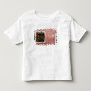 Camiseta Infantil Itália, Asciano, Caixas de Janela com Primavera Fr
