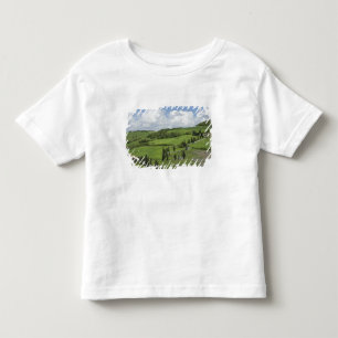 Camiseta Infantil Itália, Toscana. La Foce. Uma estrada curva serpen