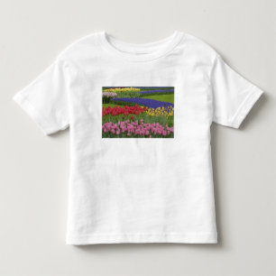 Camiseta Infantil Jardim de tulipas, jacintos e
