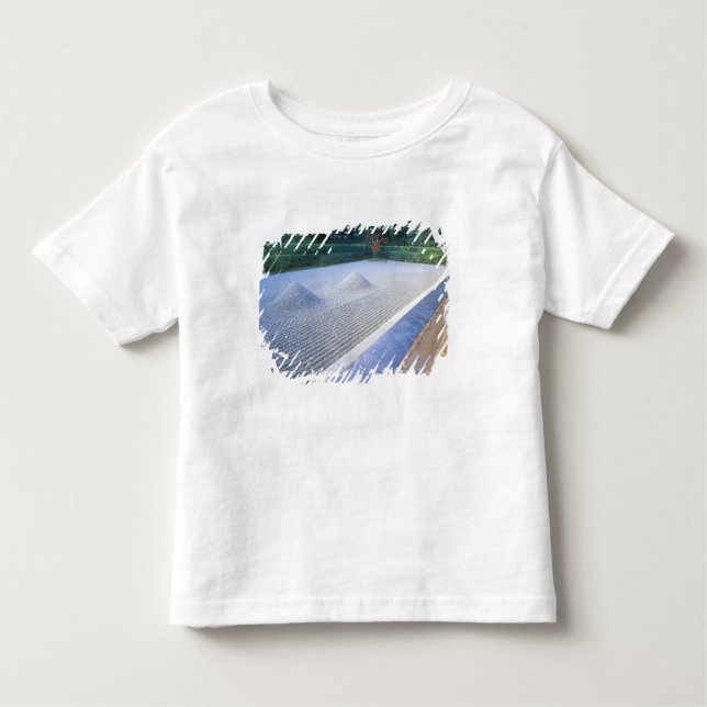Camiseta Infantil Jardim do Templo Daisen-in, Daitokuji, Quioto, Jap (Frente)