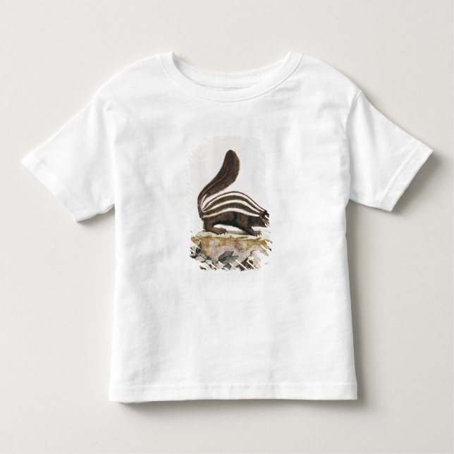 Camiseta Infantil Jaritataca, de "Histoire Naturelle" perto (Frente)