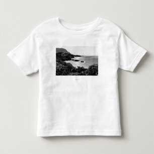 Camiseta Infantil Kauai, Havaí - vista da baía & da praia de Lumah