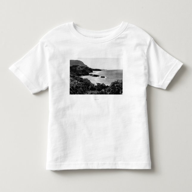 Camiseta Infantil Kauai, Havaí - vista da baía & da praia de Lumahai (Frente)