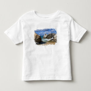 Camiseta Infantil Lado da praia em Virgin Gorda, Virgem Britânica