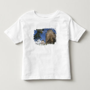 Camiseta Infantil Letônia, Letônia Nordeste, Região de Vidzeme,