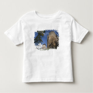 Camiseta Infantil Letónia, Nordeste da Letónia, Região de Vidzeme,