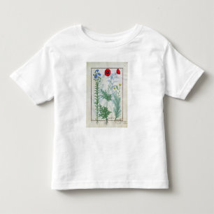 Camiseta Infantil Linum, papoilas de jardim e Abrotanum