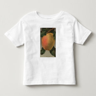 Camiseta Infantil Litografia de Chromo da fruta de Belleflower Apple