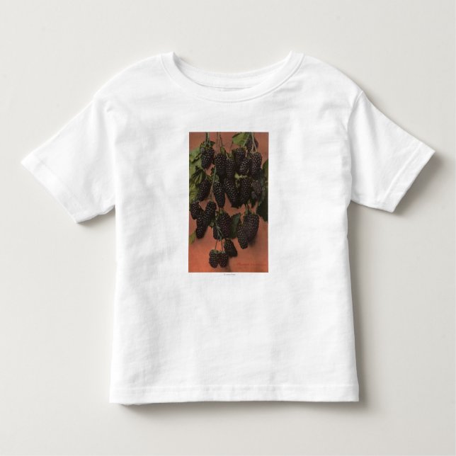 Camiseta Infantil Litografia de Chromo da fruta do Mammoth (Frente)