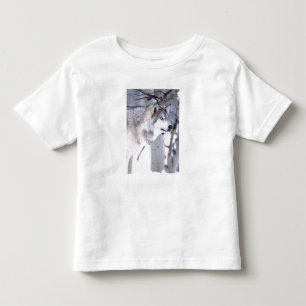 Camiseta Infantil Lobo Cinzento, Canis lupus, Animal de Filme (Utah)