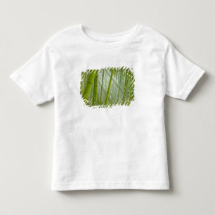 Camiseta Infantil Luz da manhã filtrando através do bambu