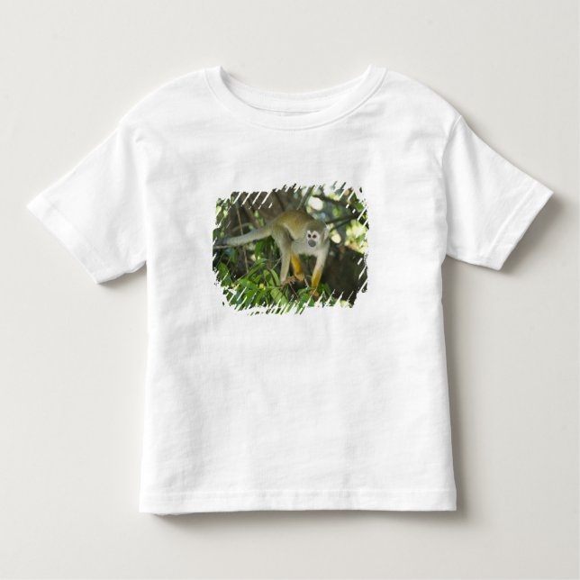 Camiseta Infantil Macaco-Esquilo-Comum (Saimiri sciureus), Rio (Frente)