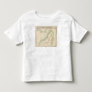 Camiseta Infantil Madagascar África 55