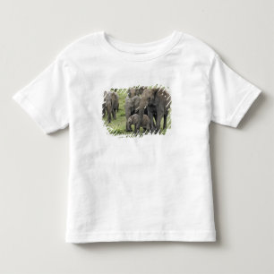 Camiseta Infantil manada de Elefante Africano, Loxodonta africana, 2