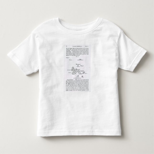 Camiseta Infantil Mapa do arquipélago de Galápagos, 1844 (Frente)