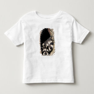 Camiseta Infantil Mapeh guaxinins em cavidade de árvore Procyon