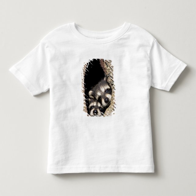 Camiseta Infantil Mapeh guaxinins em cavidade de árvore Procyon (Frente)