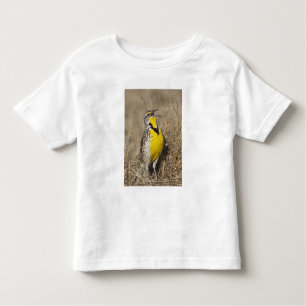 Camiseta Infantil Meadowlark ocidental (neglecta de Strunella)
