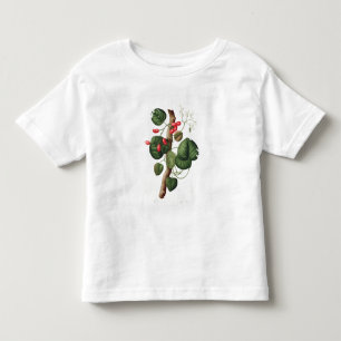 Camiseta Infantil Menispermum de "Phytographie Medicale" por Joseph
