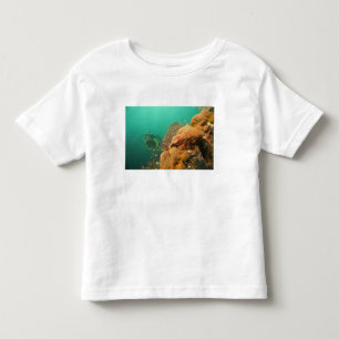 Camiseta Infantil mergulhador & peixe-escorpião Scorpanopsis