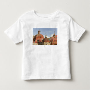 Camiseta Infantil México, Estado de Guanajuato, Guanajuato. Modelo d