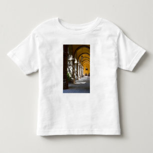 Camiseta Infantil México, estado de Guanajuato, San Miguel de Allend
