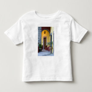 Camiseta Infantil México, San Miguel de Allende, Entrada de Arco