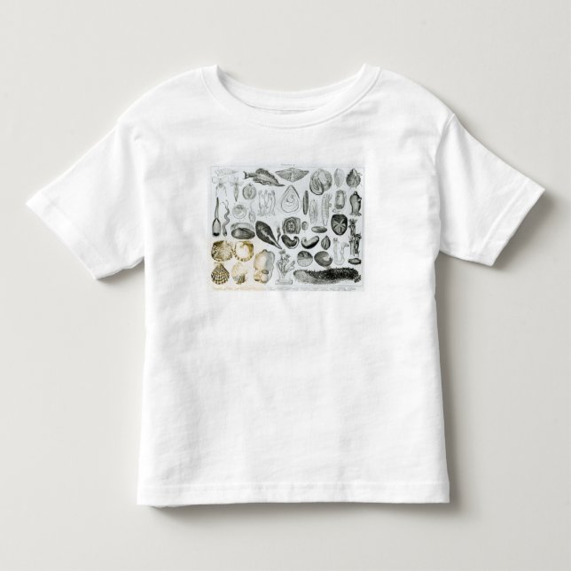 Camiseta Infantil Moluscos (Frente)