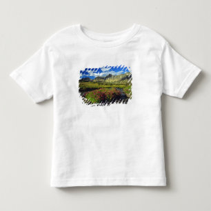 Camiseta Infantil Monkeyflowers em Logan Pass no Glacier National