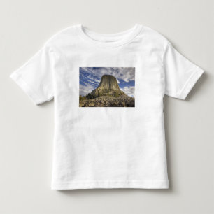 Camiseta Infantil Monumento Nacional Devils Tower