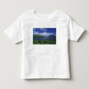Camiseta Infantil N.A., Canadá, Terra Nova, Truta de Grose Morne