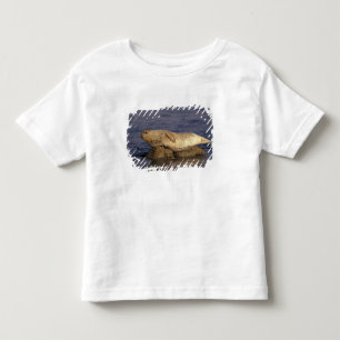 Camiseta Infantil N.A., EUA, Califórnia, Monterey. Foca-comum