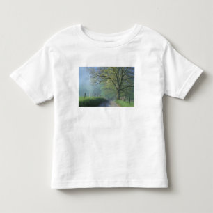 Camiseta Infantil NA, EUA, Tennessee, Cades Cove, Grande Smoky