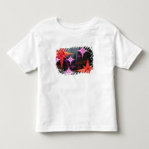 Camiseta Infantil Na Nova Iorque. Decoração do Natal para dentro