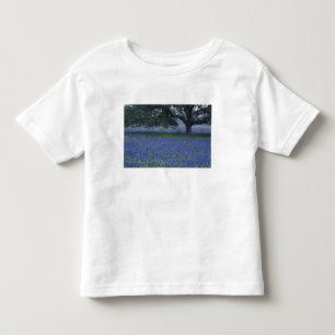 Camiseta Infantil NA, Texas, Devine, Oak e Blue Bonnets