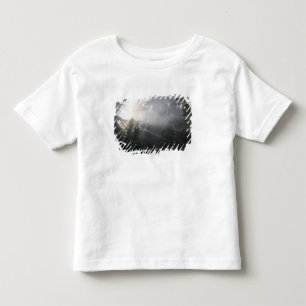 Camiseta Infantil Névoa & feixes de Sun em uma floresta de