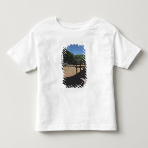 Camiseta Infantil O grande Palaestra